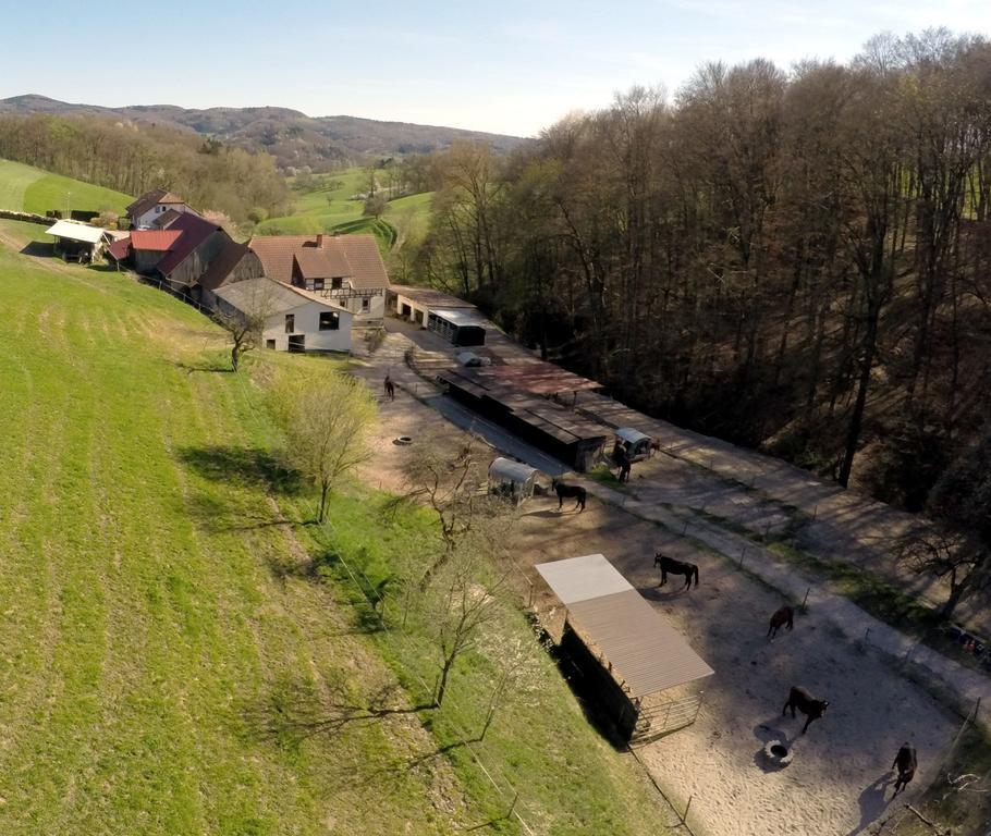 Villa Pferdehof Und Wanderreitstation Doersam Mörlenbach Exterior foto