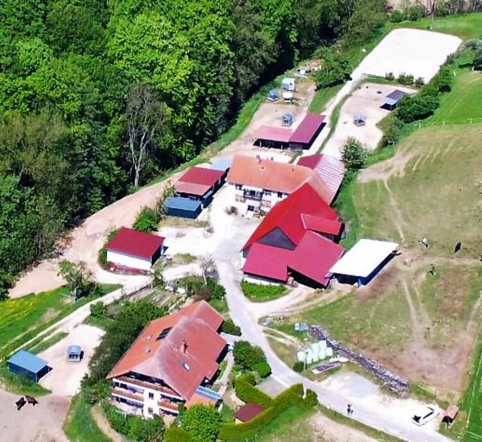 Villa Pferdehof Und Wanderreitstation Doersam Mörlenbach Exterior foto